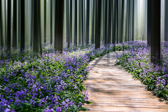 虫虫天堂采集到庭院 花园