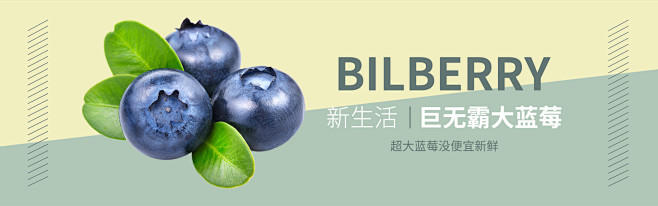 蓝莓