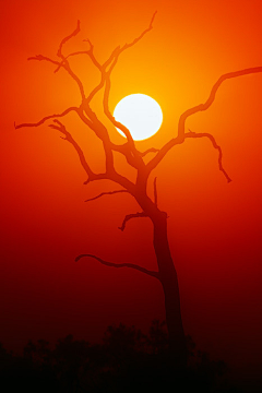 土豆Sue采集到Scenery-The Sun And The Moon