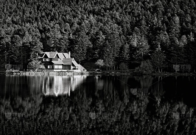 梦境探秘，为何梦见自家的房子矗立在森林深处？