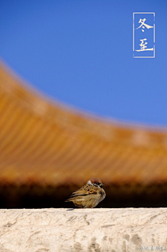静欢悲喜采集到无