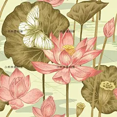 手绘中国风写意莲花黑白线稿图素描图EPS矢量设计素材AI138-淘宝网