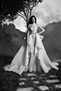 Zuhair Murad 2016 秋冬冷艳迷幻婚纱系列 : Zuhair Murad 2016 秋冬冷艳迷幻婚纱系列