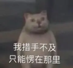 我措手不及只能愣在那里
