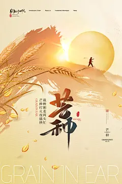 金色稻穗传统节气夏季二十四节气芒种海报