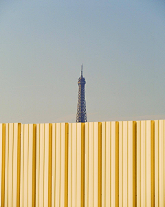 eGG_1123采集到PIC