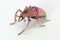 艺术家 Hiroshi Shinno以假乱真的幻想昆虫
存下当绘画的灵感 ​​​​