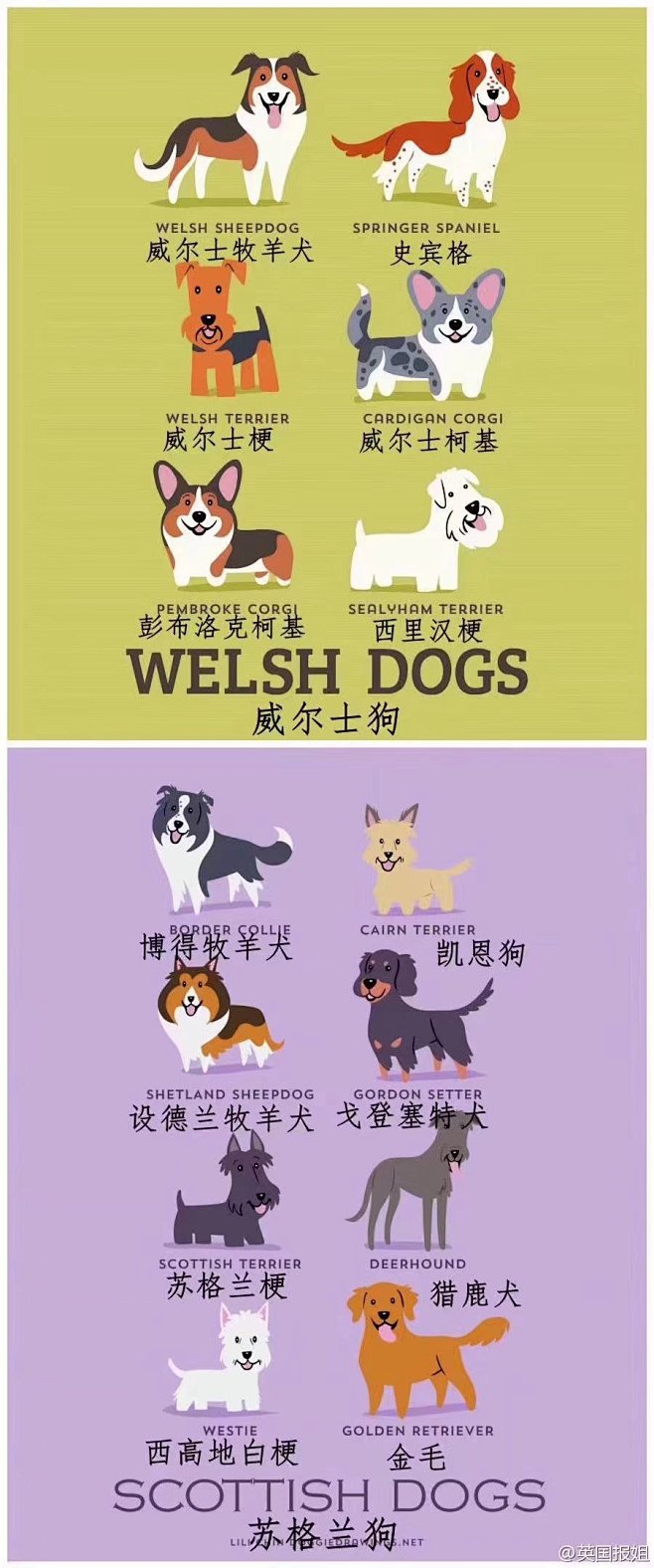 认识了好多狗勾！！