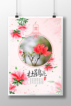 旒~蔹采集到花节  樱花