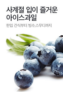 사계절 입이 즐거운 아이스과일 전문관