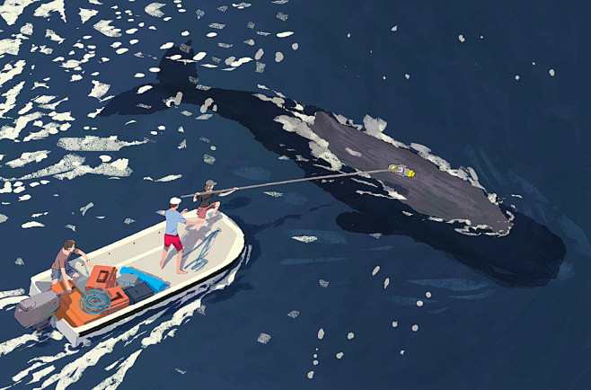Seals, whales and Pe...