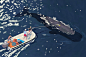 Seals, whales and Penguins : たくさんのふしぎ