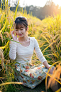文心--稻花香
