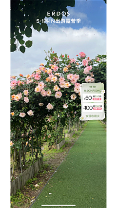 Bärchen采集到直播电商