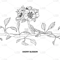 华丽的,樱花,请柬,壁纸,樱桃,婚礼,装饰物,春天,排列,复古