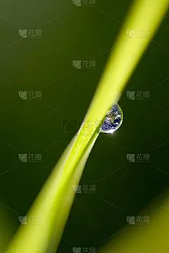 滴水与南美洲