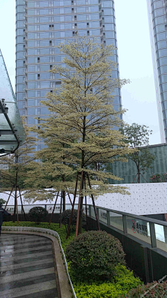 心有艳阳采集到城市公共景观
