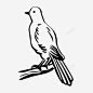 鸟羽毛苍蝇图标 标志 UI图标 设计图片 免费下载 页面网页 平面电商 创意素材