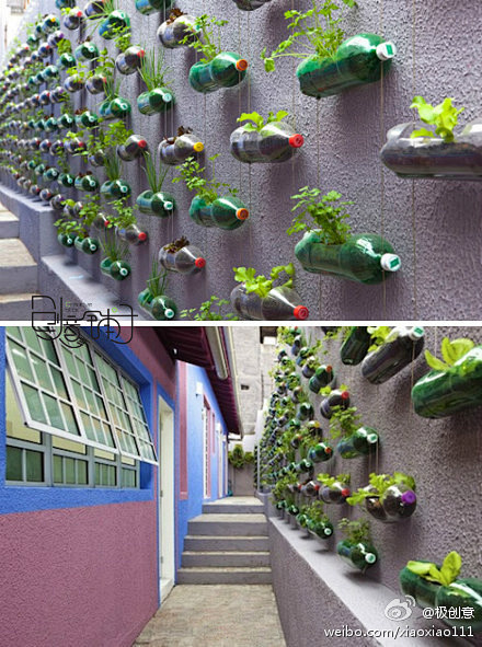 极创意：旧饮料瓶做成的植物墙，既环保又美...