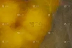 摘要蔬菜园中南瓜和干叶的模糊背景。