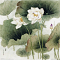 (59) Pinterest