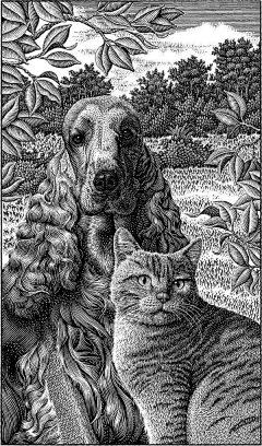 Qwa！采集到版画