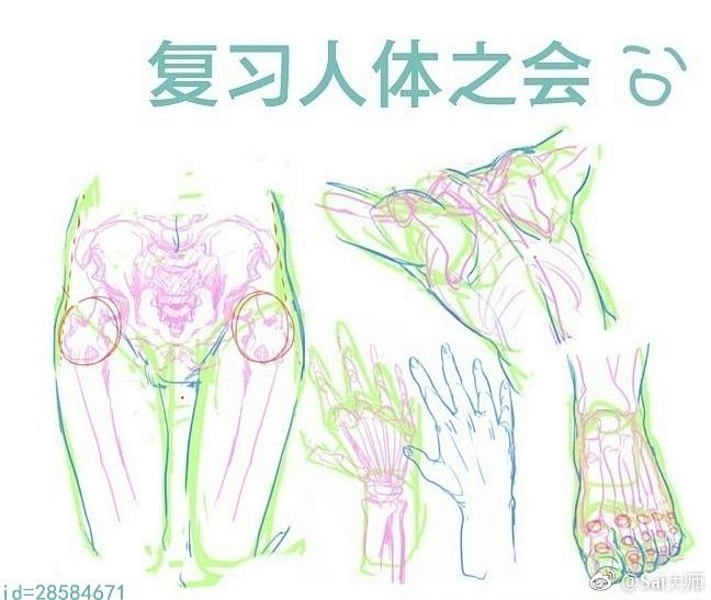 关于人体绘画练习的一些东西！ #插画艺术...