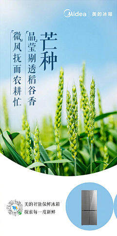 宝葫芦呀采集到海报-节日