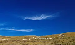 美丽风景图片_1280x768宽屏高清壁纸蓝天风景图片