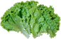 新鲜蔬菜大全图片png免抠元素背景素材青菜田园果蔬