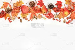 框架与枫叶，松果，坚果，苹果和花楸，秋天抽象构图，感恩节概念，季节背景，横幅或屏幕保护程序，贺卡