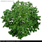 u=3654232294,601804318&fm=214&gp=0