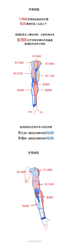 大咕噜鱼采集到待整理