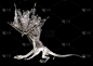 3D插图幻想龙在黑色