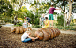 阿德莱德动物园自然游乐场 Adelaide Zoo Nature’s Playground by WAX Design : 自然的材料+有趣的仿真动物