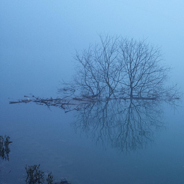 混沌天源道法自然|修心修行