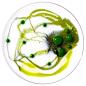Pin page