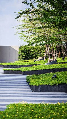 HHHCC采集到景观专项——屋顶花园