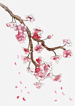 手绘桃花高清素材 页面网页 平面电商 创意素材 png素材