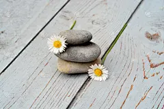 三颗雏菊禅宗石