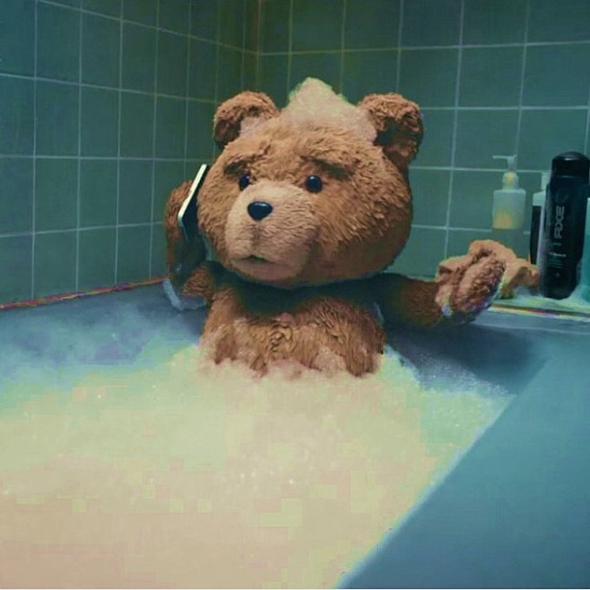 泰迪熊电影 头像图片
