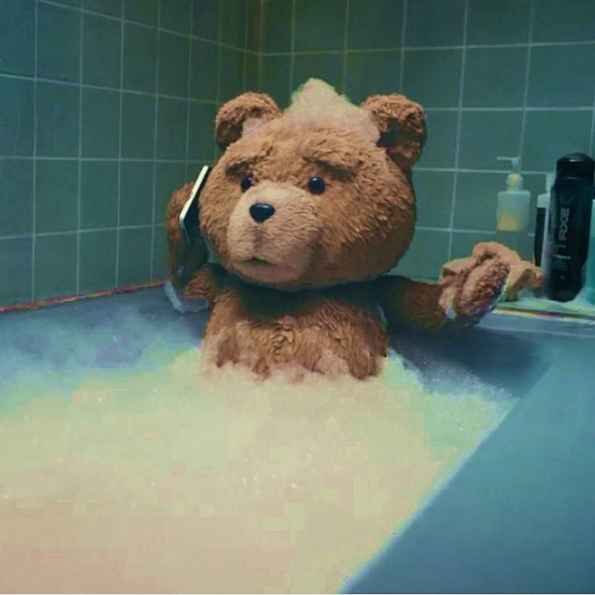 泰迪熊# #ted
