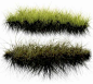 高清PNG！水生植物素材-水草PNG格式 weeds PS素材，总共11张-PS素材库-设计e周 - 手机版 - Powered by Discuz!