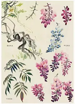 国画花卉画法大全，实用！_手机搜狐网