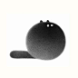 Kamwei Fong's Cute Cats (New Pics)