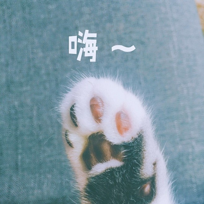 近期视频大合集，一口气看过瘾咯~~
欢迎...
