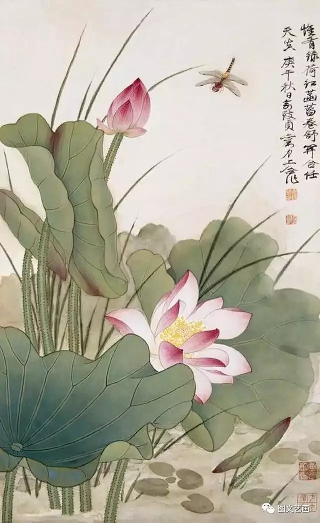 工笔国画荷花高清作品欣赏