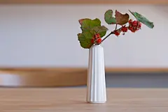 JICONの【花瓶 しのぎ】 | オンラインショップ | 生活購買店reed : やわらかな生成りの白が、お花を優しく引き立ててくれます。
光が差すと美しい陰影の表情をみせてくれるのも魅力。
かわいらしい印象の「しのぎ」は、どんな花も受けとめてくれ
特に洋花には、一番合うのではないでしょうか。
使いやすい形なので、ギフトとしておすすめです。
