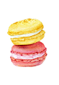 Peinture originale - Macarons (aliments sucrés aquarelles Wall Art, nature morte) A5 马龙