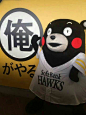 #酷MA萌# #kumamon#